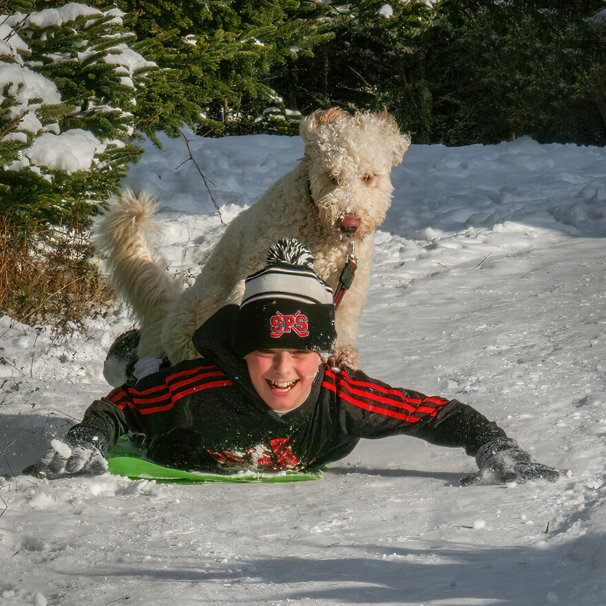 The 26 Finalists Of The 'Animal Friends Comedy Pet Photo Awards' Contest Have Been Announced