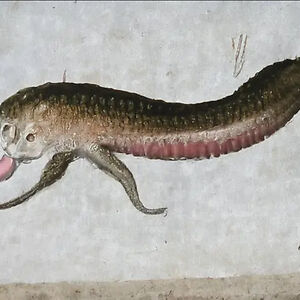 averymsterling avatar