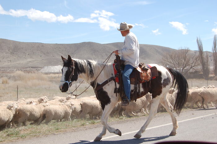 “What’s A Job That’s Romanticized But In Reality Sucks?” (30 Answers) - 29