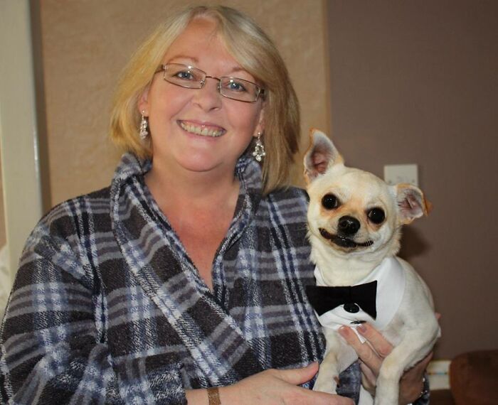 Not Weird Exactly But Here's My Mum's Dog Lemmy On Her Wedding Day (He Was Ring Bearer)