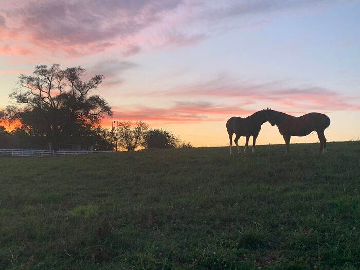 My Uncle’s Ranch In Ten Mile, Tennessee, USA. My Mom Took The Picture.