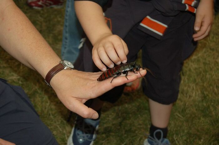 Women Disclose 30 Secrets They Wish To Tell Their Partners But Fear It Would Jeopardize Their Relationships - 23