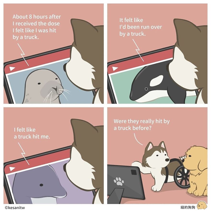 Artist Creates Illustrations Showing What Animals Really Think (26 New Pics)