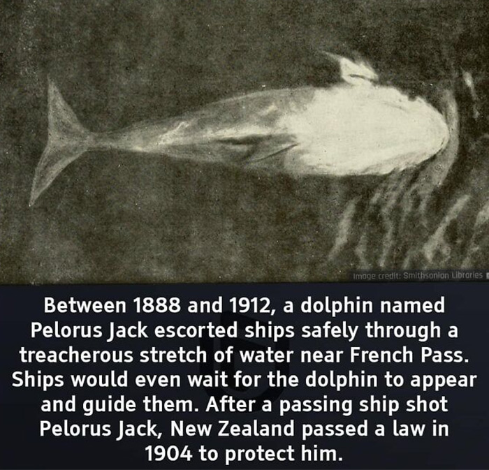 Interesting-Facts-And-Science