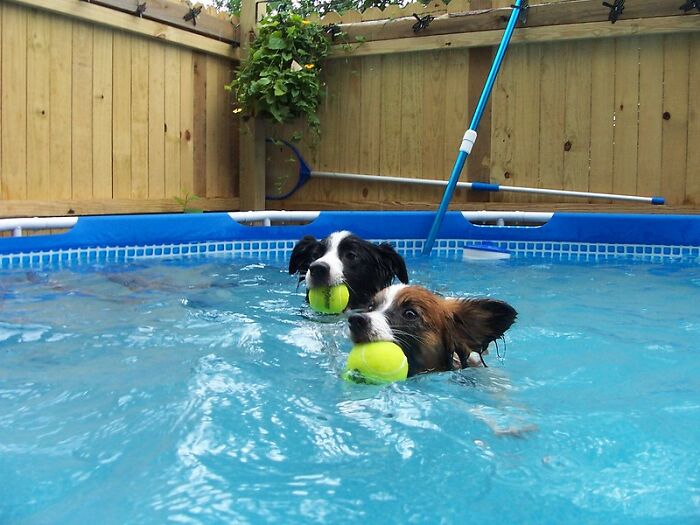 “¿Cuál es tu historia en la que pensaste ‘Si caigo, tú caerás conmigo’?”: 15 personas responden