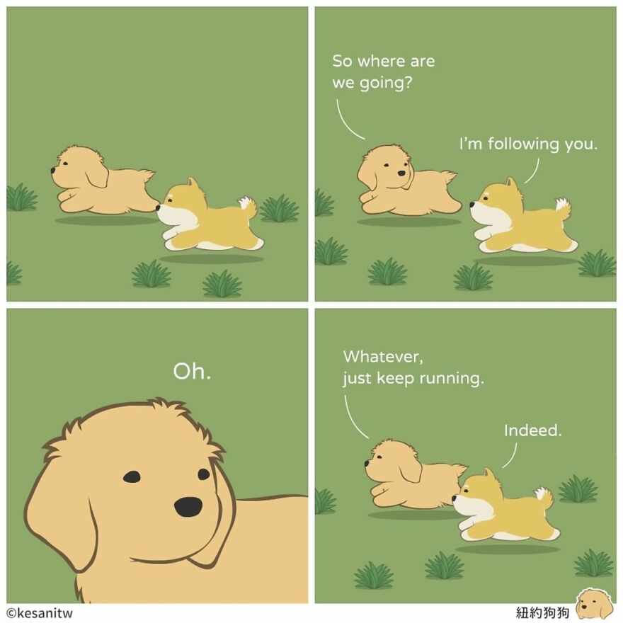 Artist Creates Illustrations Showing What Animals Really Think (26 New Pics)