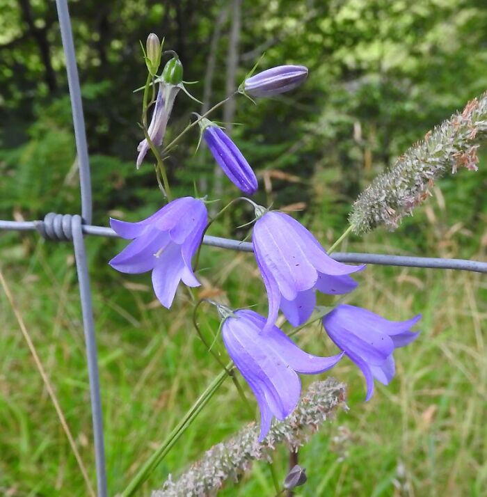 30 Unexpected Habits People Learnt In Jail And Still Do In Their Everyday Life, As Shared In This Online Community