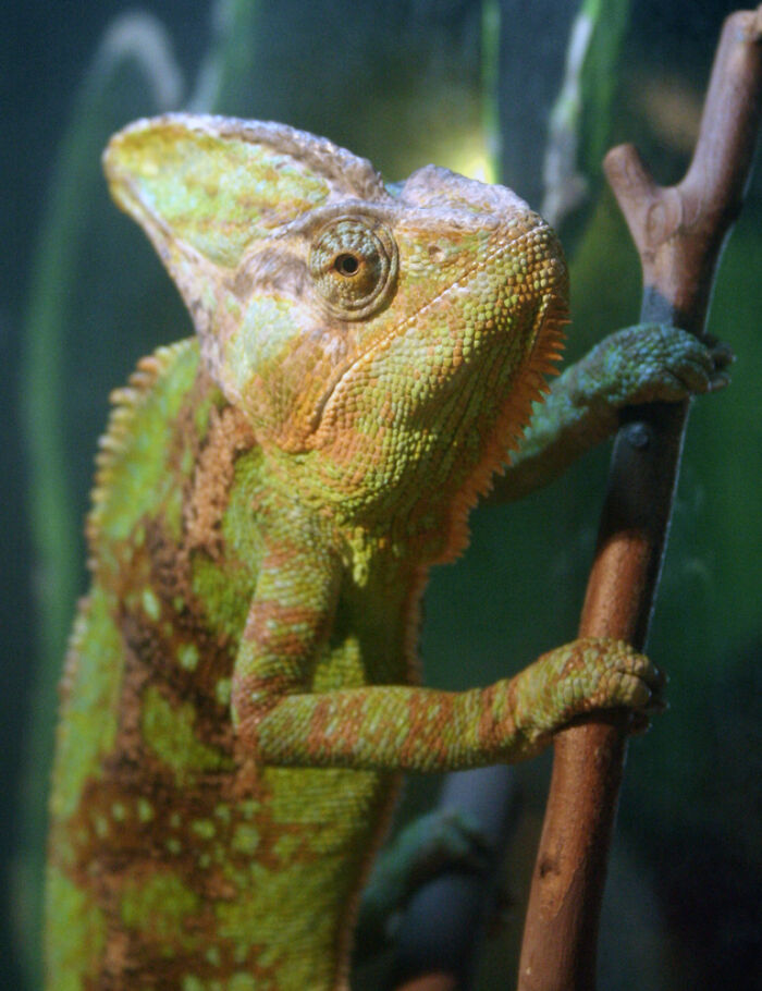 35 Of The Most Unexpectedly Funny Jokes Fitting In One Line, Shared In This Dedicated Online Community - 14