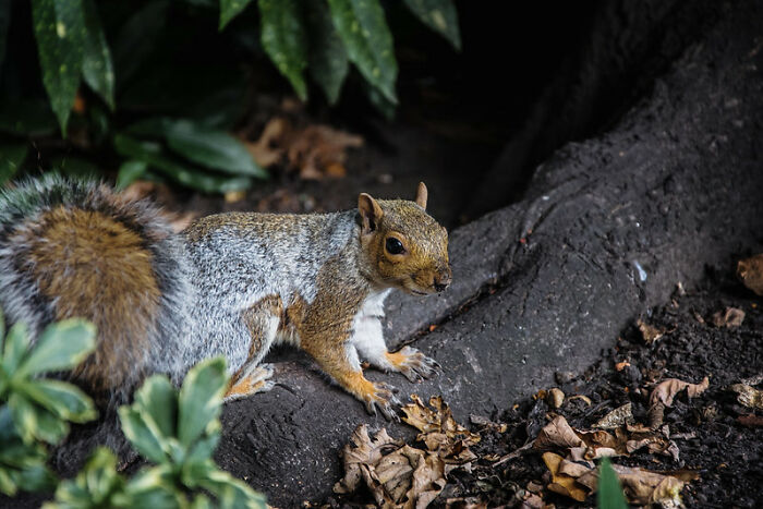 40 Hard-To-Believe Funny Stories, As Told By Folks In This Online Community - 21