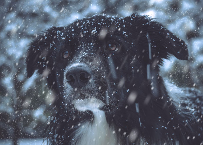 20 Personas sintiendo que “algo no andaba bien” y sus instintos les salvaron la vida