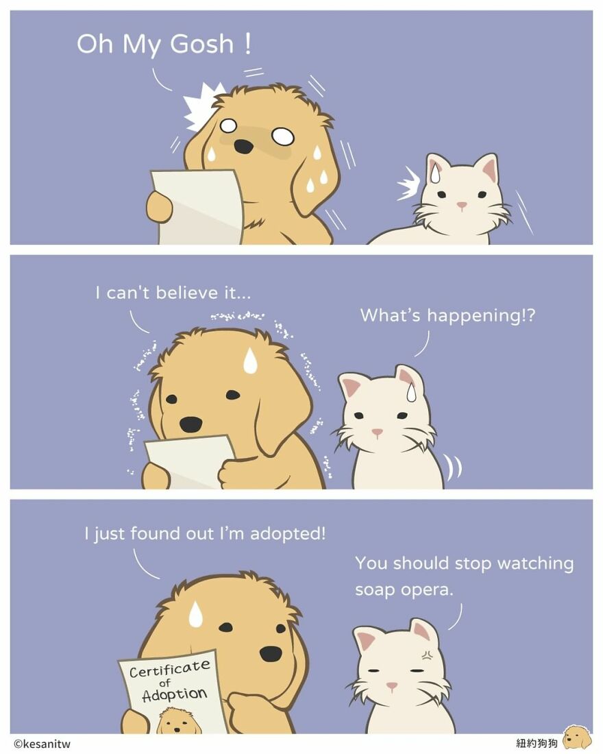 Artist Creates Illustrations Showing What Animals Really Think (26 New Pics)