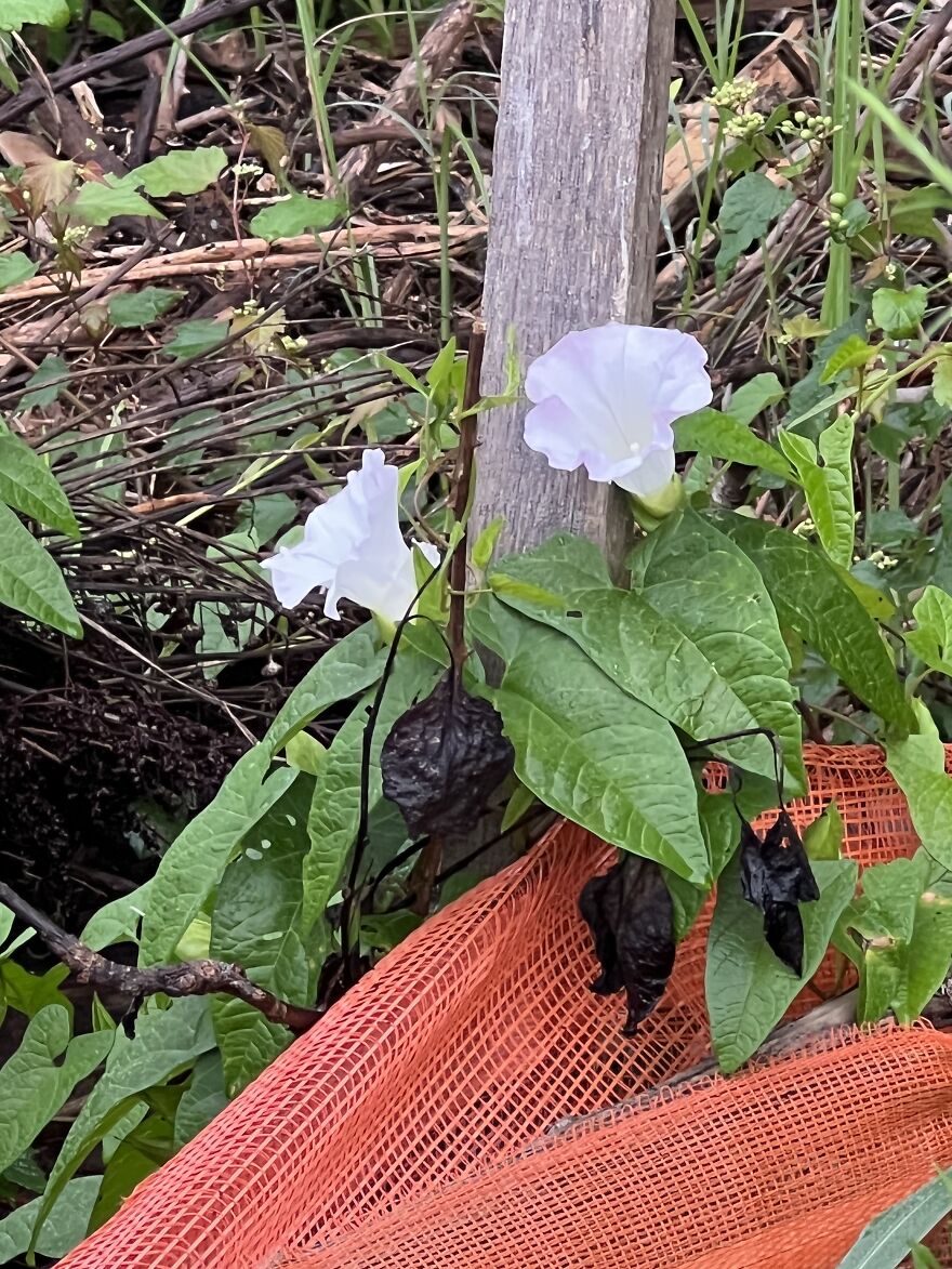 Things I Wish I’d Known Sooner