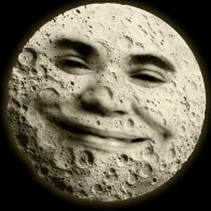 nora-bevilacqua avatar