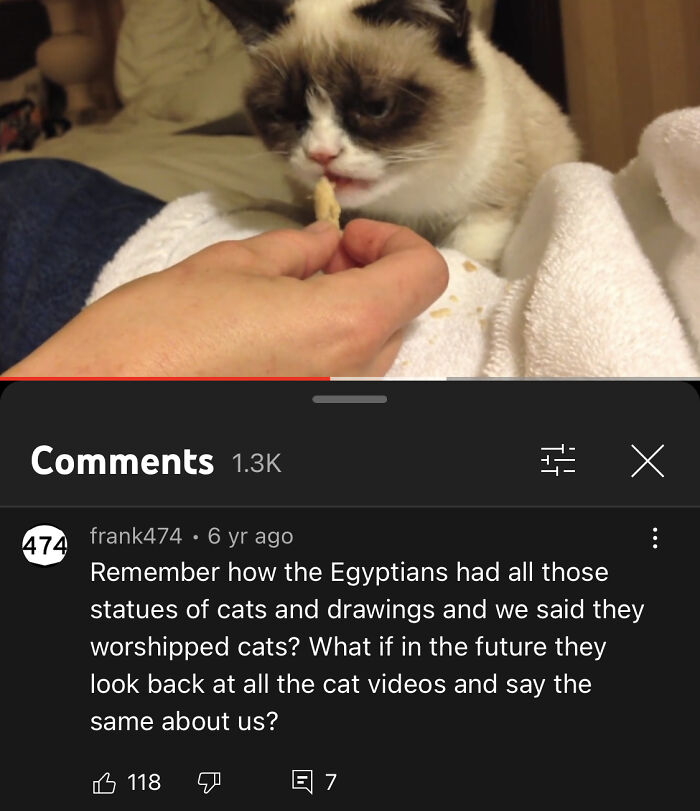 Grumpy Cat Getting Treats After Being On The Today Show