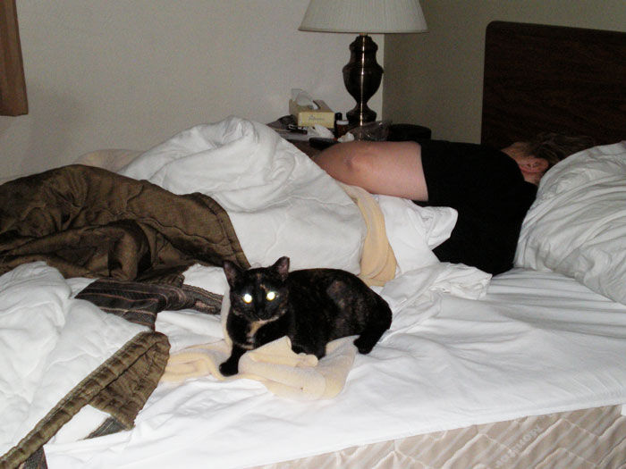 Man Gets Mad After Missing A Family Trip Because He Wasn&rsquo;t Woken Up In Time, Hears The Harsh Truth About Failing To Help The Family