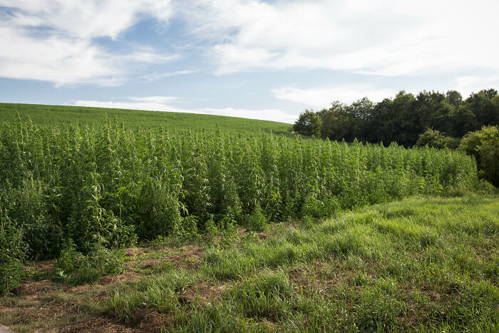 30 Funny Things Patients Said While Loopy On Anesthesia, As Shared In This Online Group