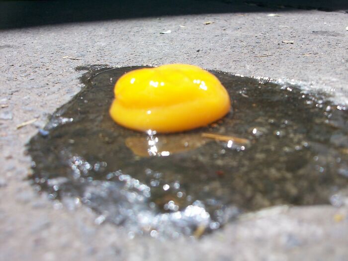 35 People Reveal Their Dirtiest Kitchen Secrets That Should Probably Stay A Secret - 31