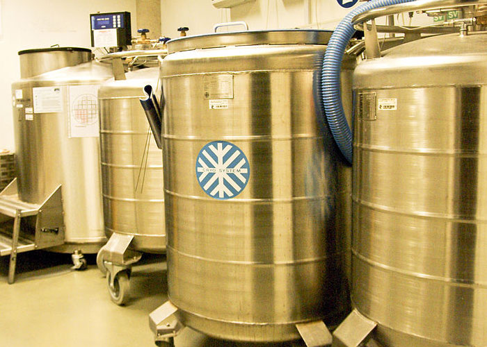 30 Times People Decided Safety Regulations Were Guidelines, Not Rules - 29