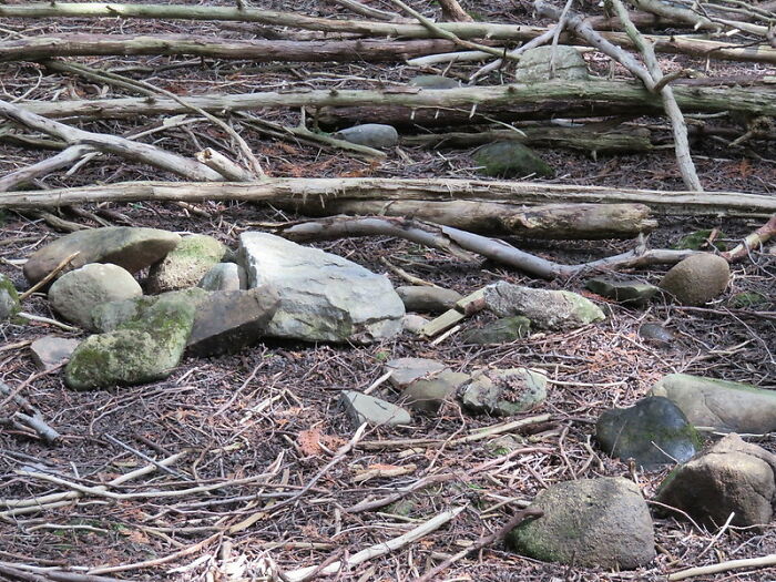 30 Wise Old Sayings That Have Totally Lost Their Meaning In The Contemporary World, As Shared By Folks In This Online Group