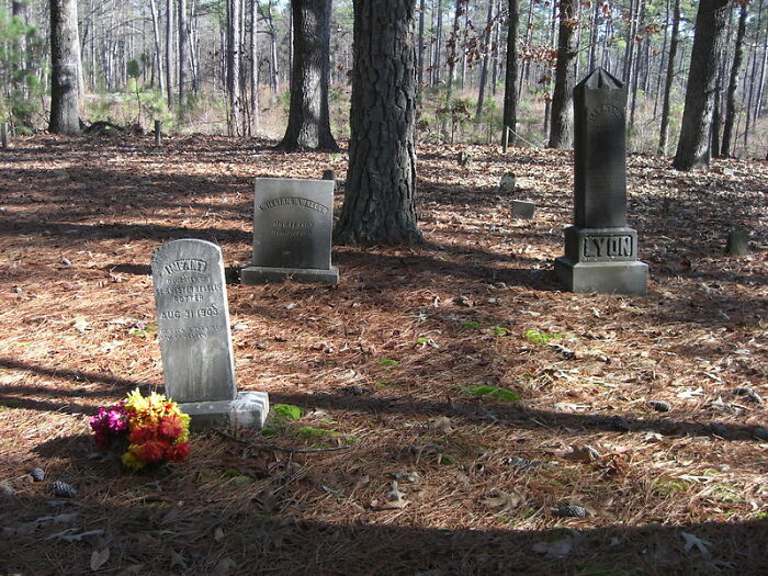 20 Personas que dijeron cosas muy desgarradoras, compartidas por quienes las escucharon