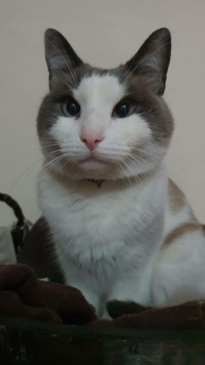 Maximilian; My Little Senior Treasure. Why This Lkind Of Treasures Aren't Forever?