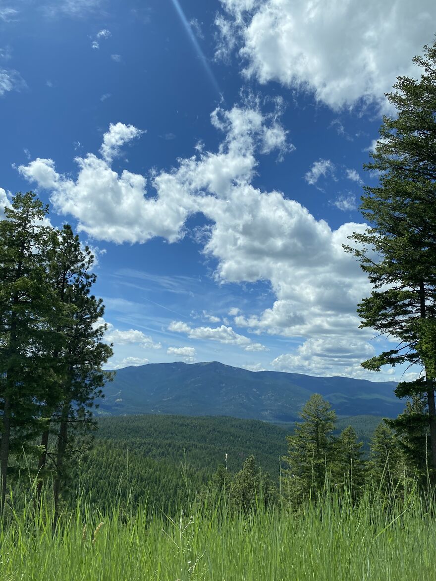 Went On A Short Walk Today.