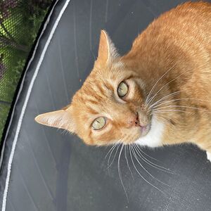 sophiakunnlein avatar