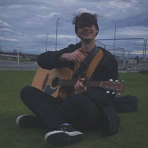 sanamariklaishram avatar