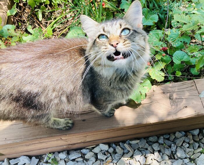 Mom, Why Is It So Hot??