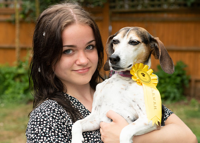 Dog Runs Away From Home And Returns With Dog Show Rosette - 3