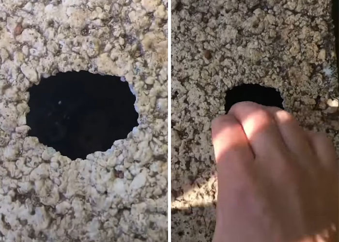 Millions Of People Rejoice At Hilarious Video Of Cat Rescuing House Keys From Hole - 2