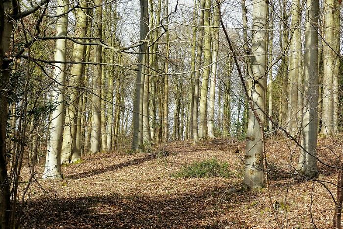 30 Unwritten Rules Among Women That They Secretly Agree On Without Having To Talk About, As Shared Online