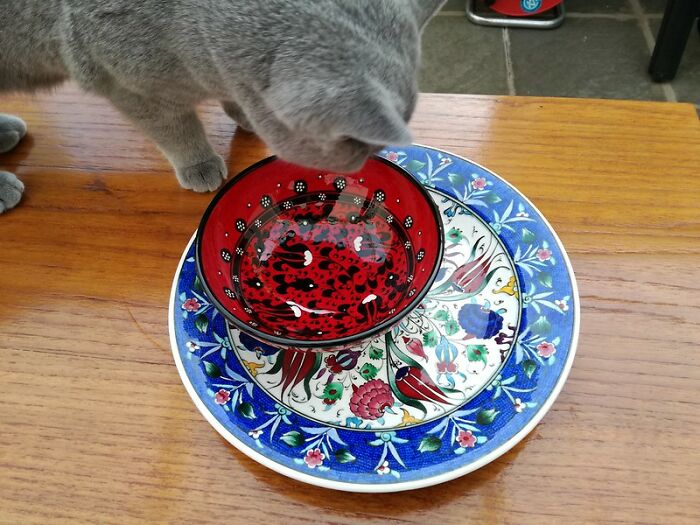 20 Hábitos inesperados que la gente aprendió en la cárcel y sigue realizando en su vida cotidiana