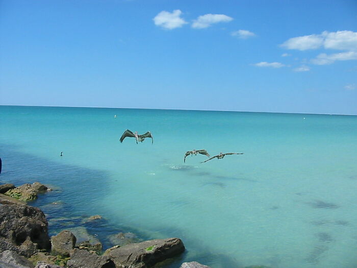 23 Fascinating, Weird Or Even Scary Facts About The Ocean People In This Online Group Decided To Share