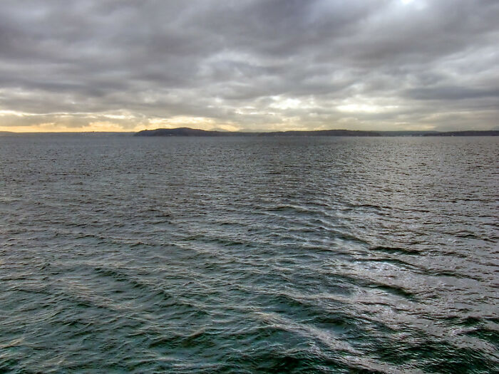 23 Fascinating, Weird Or Even Scary Facts About The Ocean People In This Online Group Decided To Share