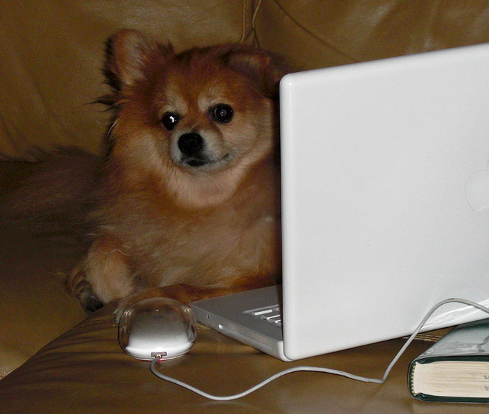 Management Brushes Off This Guy’s Concerns About A Certain Employee, So He Places Every Possible Restriction On His Computer - 14