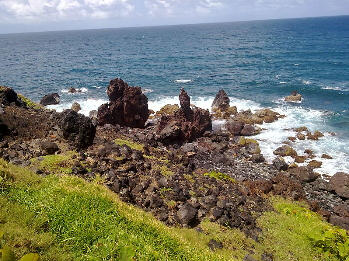 23 Fascinating, Weird Or Even Scary Facts About The Ocean People In This Online Group Decided To Share