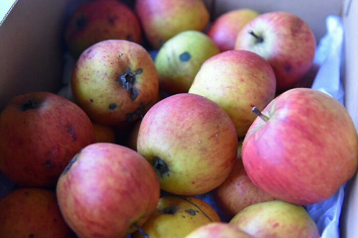 30 Wise Old Sayings That Have Totally Lost Their Meaning In The Contemporary World, As Shared By Folks In This Online Group