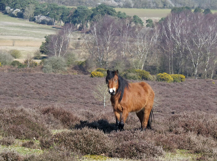 35 Of The Most Soul-Crushing Things Folks Have Ever Heard Someone Say, As Shared By People In This Online Group - 12