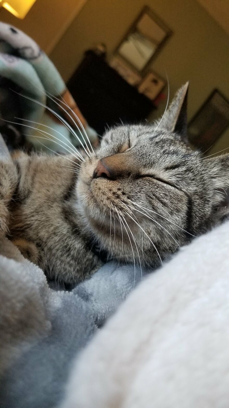Dad Makes A Cat Bed For His Daughter's Feline From An Old TV, And It Hasn't Gone Unnoticed On The Socials