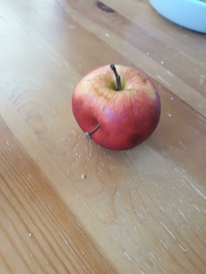This Apple With Two Stems That I Bought
