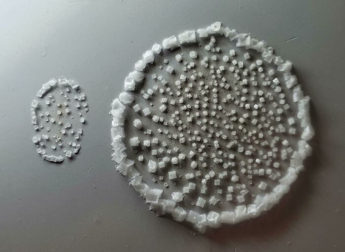 This Drop Of Salt Water Recrystallized Over Night