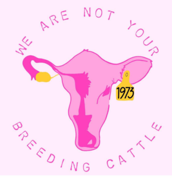 This Pro-Abortion Poster