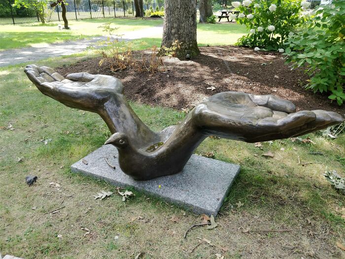 Un pájaro con manos humanas