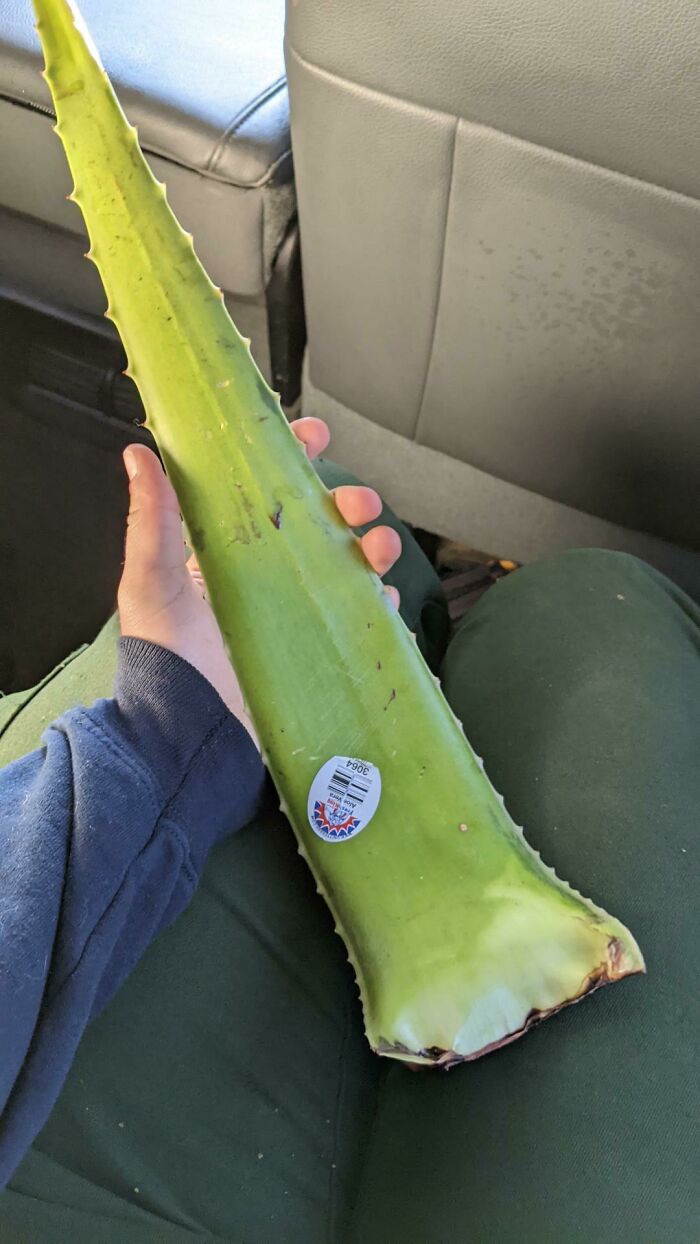 Got Pretty Sunburnt On A Work Trip And Didn't Have Aloe, Bought This Instead Of A Bottle!