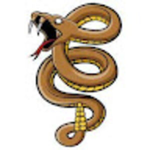 goldenvipergaming avatar