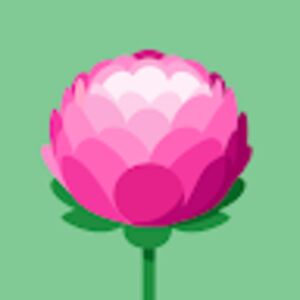 violetgilchrist avatar