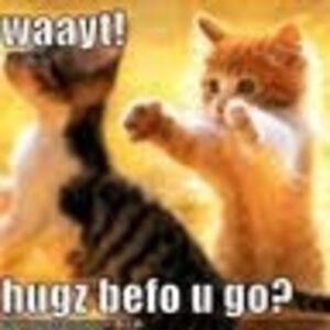 andrewkingery avatar