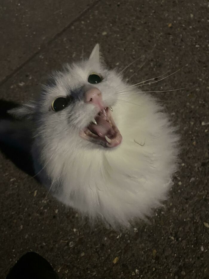 Found At 2am In London