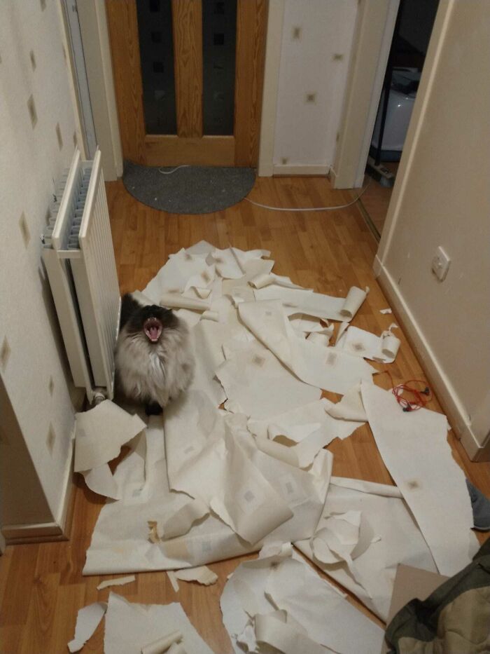 Está exigiendo el pago por su excelente trabajo